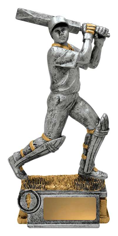 Cricket Batsman