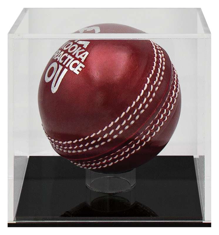 Cricket Ball Case