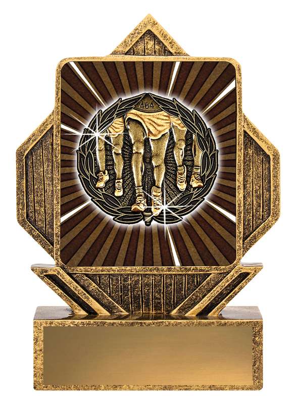 Lynx Arrow – Running