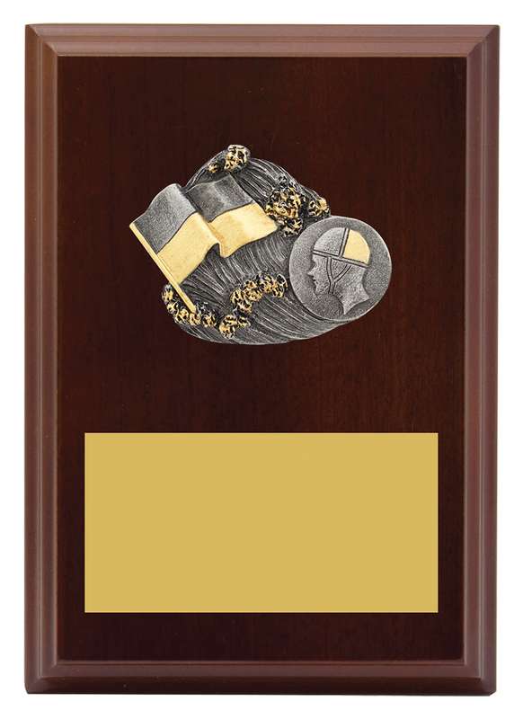 Peak Plaque Lifesaving