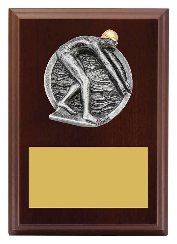 Peak Plaque – Male Swim