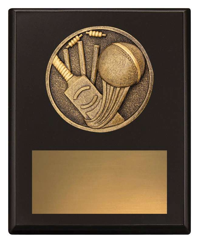 Challenge Plaque – Cricket