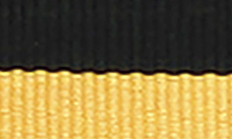Black / Gold Ribbon