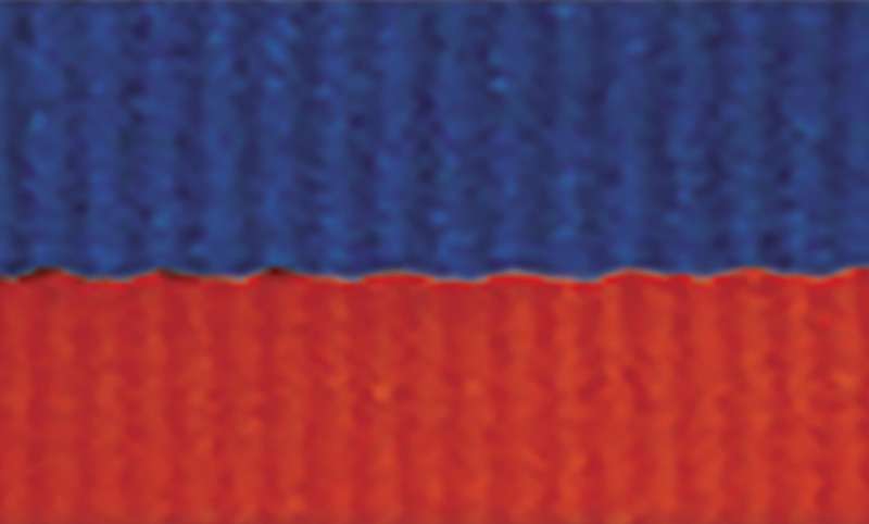 Blue / Red Ribbon