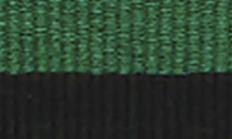 Green / Black Ribbon