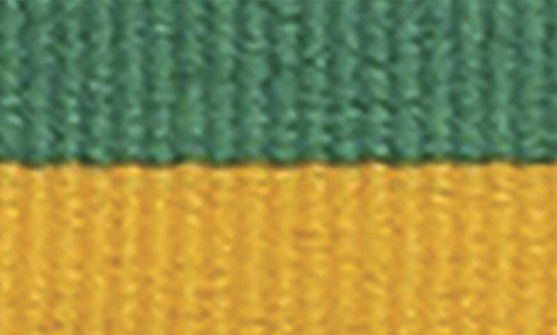 Green / Gold Ribbon