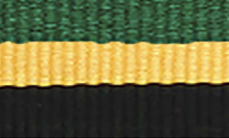 Green / Yellow / Black Ribbon