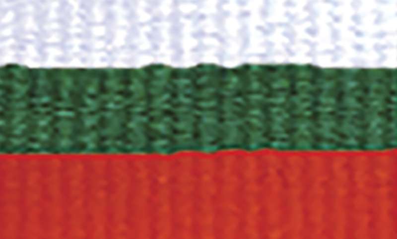 White / Green / Red Ribbon