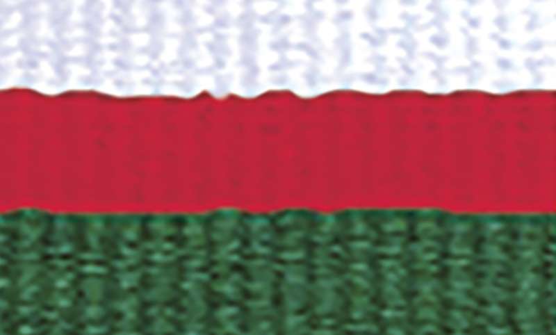 White / Red / Green Ribbon