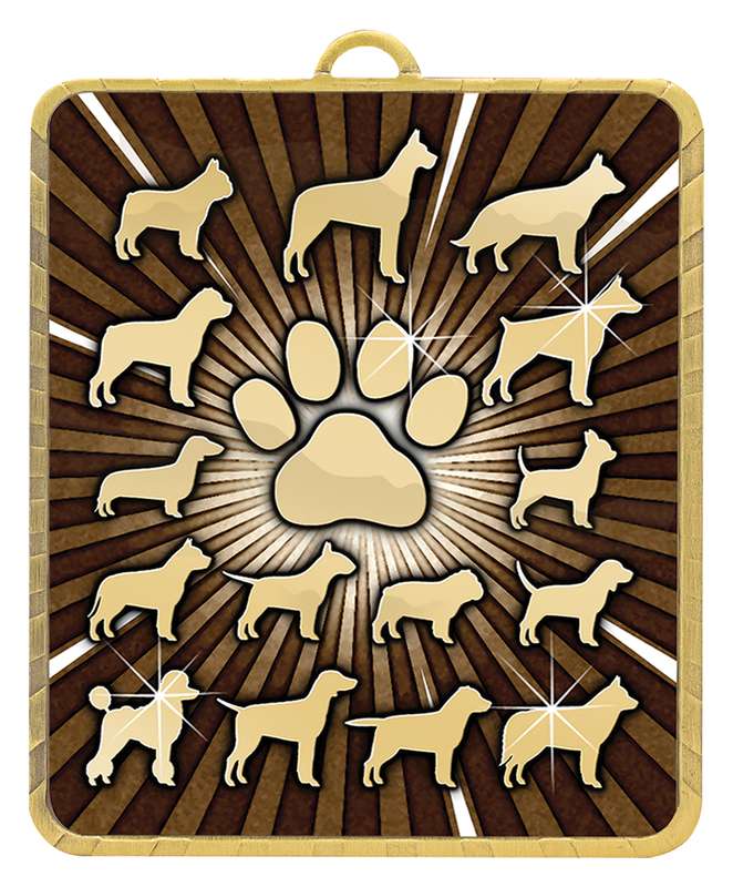 Gold Lynx Medal – Pet